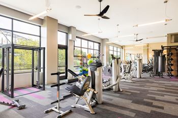 A gym with treadmills and other exercise equipment in a building with large windows
